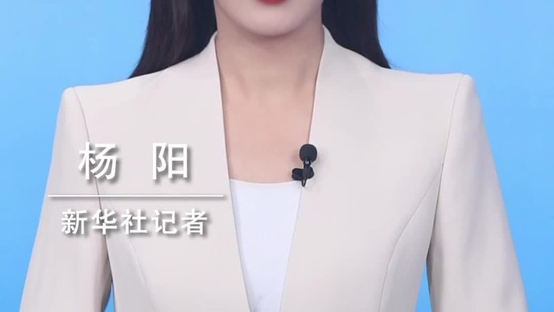政务云运维服务方案：价格背后的考量因素